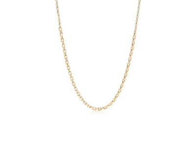 Gold Chain Necklace