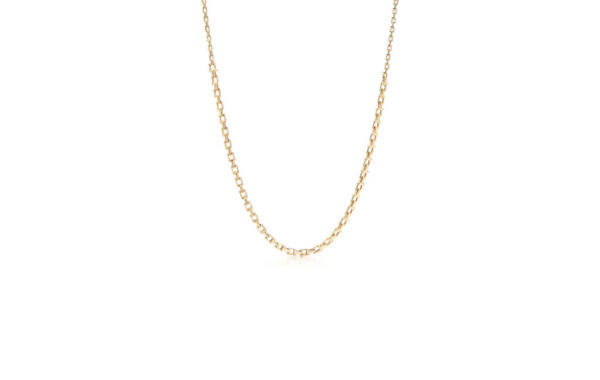 Gold Chain Necklace