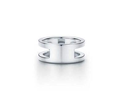 Titanium ID Ring