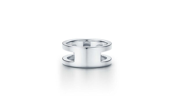 Titanium ID Ring