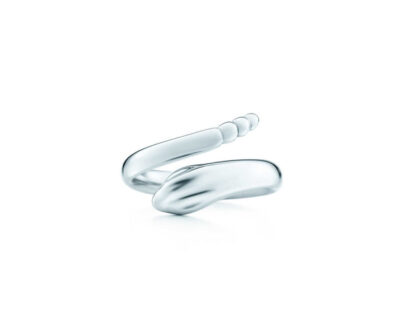 Titanium Snake Ring